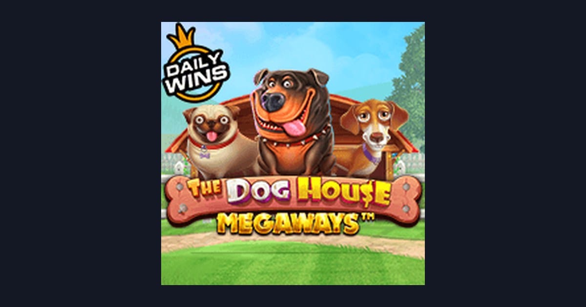 Tips Main The Dog House Megaways: Slot Deposit Kecil & Slot Auto Cuan
