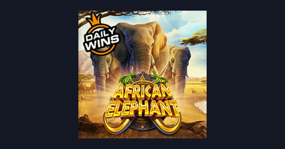 Strategi Menang African Elephant: Panduan Lengkap untuk Pemula