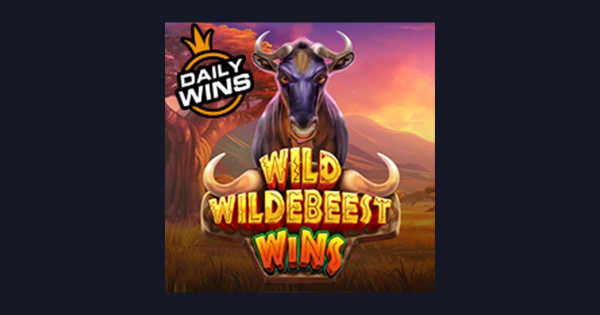 Mengenal Wild Wildebeest Wins: Fitur Menarik dan Tingkat Volatilitasnya